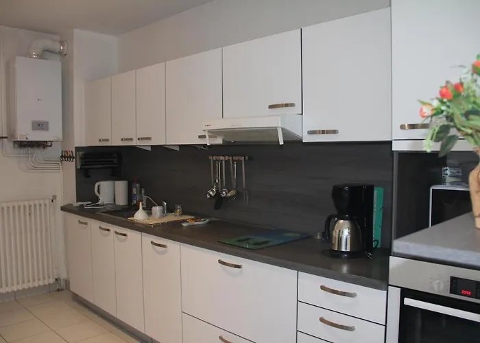 公寓 Le Tom De 鲁瓦扬