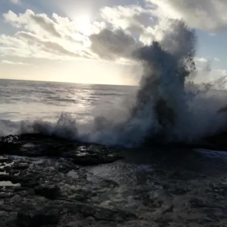 Appartement Le Tom De Royan
