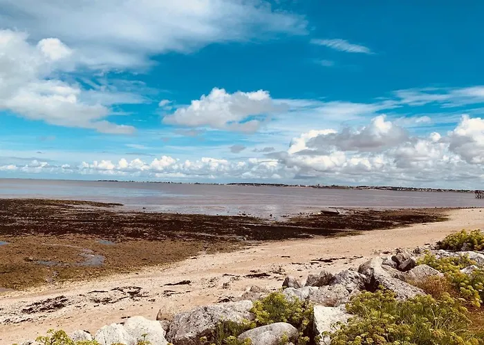 Le Tom De Apartamento Royan