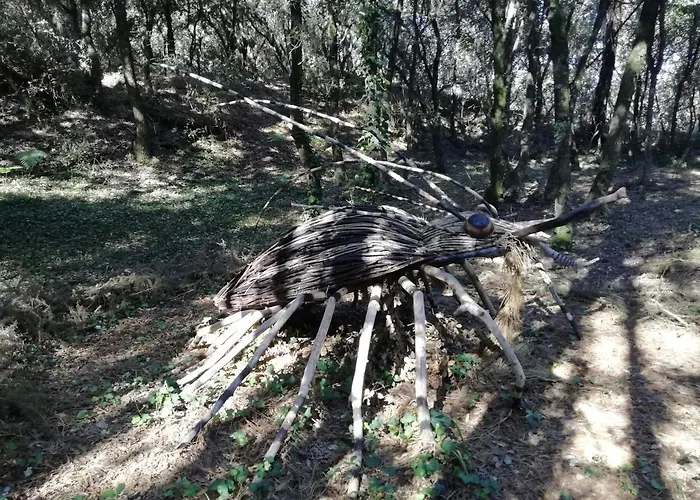 Apartamento Le Tom De *